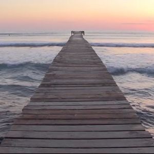 Meet your Posher, Teri